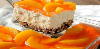 Δροσερό γλυκό ψυγείου με μία μπισκοτένια βάση