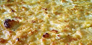 τεμπελόπιτα ζαγορίου