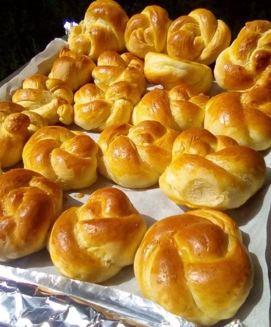 67556096_865132783871882_968650064530505728_n