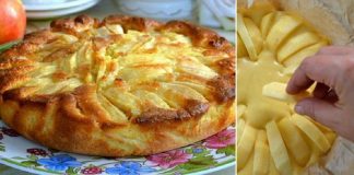 Η ψημένη **Μηλόπιτα ** με τα μήλα σε φέτες στην επιφάνεια