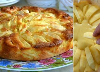 Η ψημένη **Μηλόπιτα ** με τα μήλα σε φέτες στην επιφάνεια