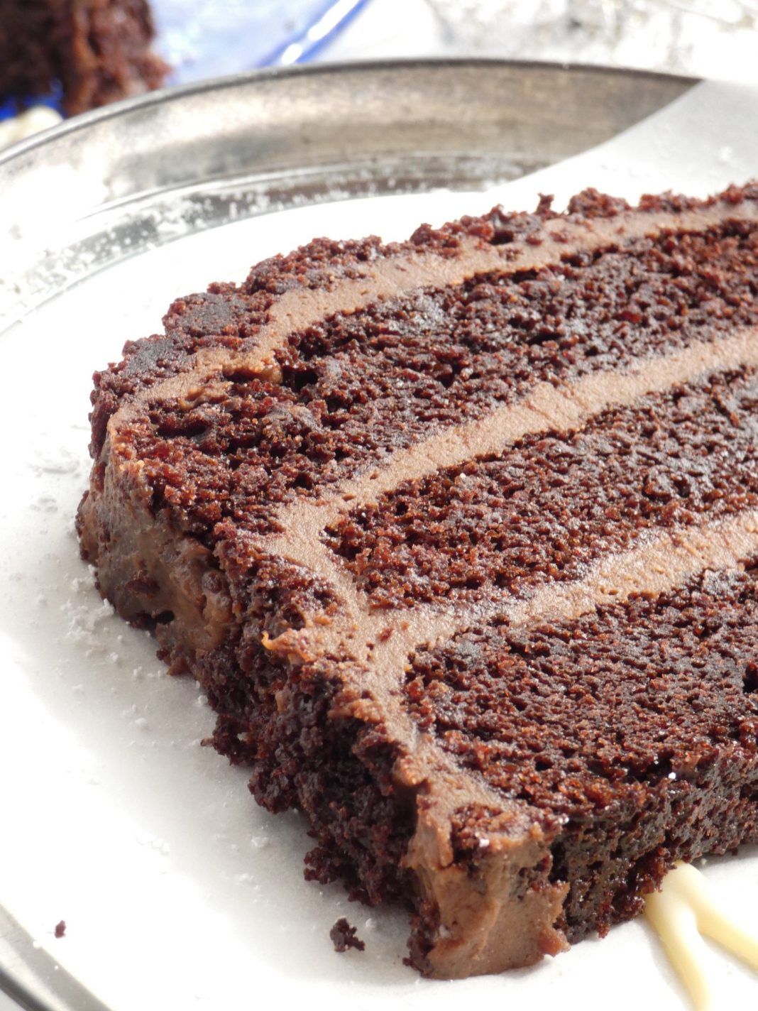 Ένα κομμένο κομμάτι από ένα πλούσιο κέικ σοκολάτας με στρώσεις παντεσπάνι και κρέμα σοκολάτας, πασπαλισμένο με ψίχουλα κέικ.