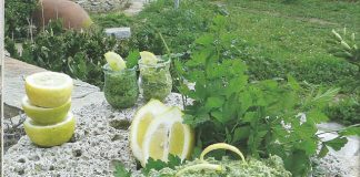 Αυθεντική Μαϊντανοσαλάτα Τήνου Μαϊντανοσαλάτα