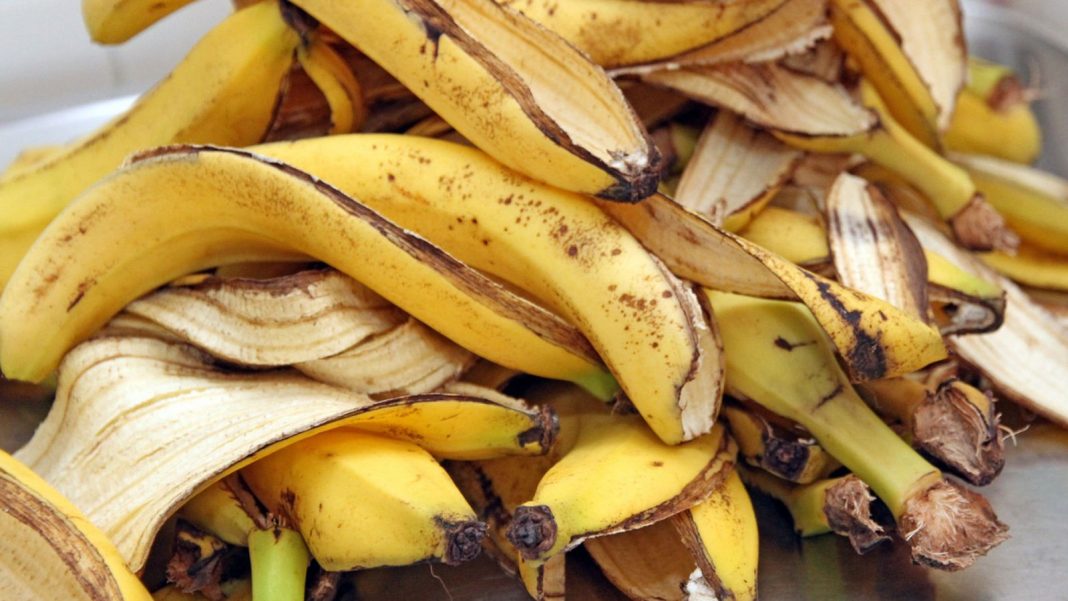 Χρήσεις Μπανανόφλουδας