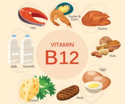 vitamin-b12-506x423