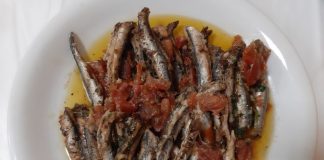 Γαύρος πλακί