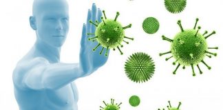 Τρόφιμα ανοσοποιητικό