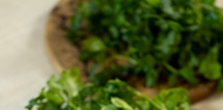 Γίγαντες Στιφάδο