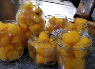 Γλυκό του κουταλιού με φλούδα πορτοκάλι! γλυκό του κουταλιού με φλούδα πορτοκάλι