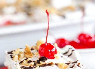 Κοντινό πλάνο σε μία μερίδα από Γλυκό Ψυγείου με Φρούτα, που αναδεικνύει τις πολύχρωμες στρώσεις και την πλούσια υφή