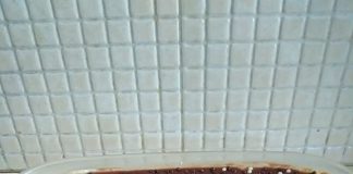 Εκλέρ Ταψιού