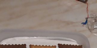 Παγωτό με γλυκό του κουταλιού