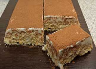 Ένα κομμάτι από γλυκό ψυγείου με γιαούρτι και σπασμένα μπισκότα, πασπαλισμένο με κακάο, σε ένα πιάτο.