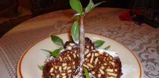 Κορμός Σοκολάτας