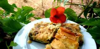 Νηστίσιμη Χορτόπιτα