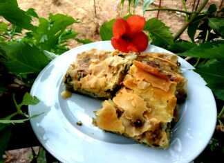 Η Νηστίσιμη Καρδιτσιώτικη Πίτα της γιαγιάς Ελευθερίας Νηστίσιμη Χορτόπιτα