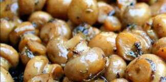 Μανιτάρια Μπυρας