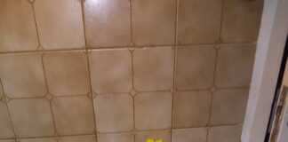 Πιροσκί με τυρί