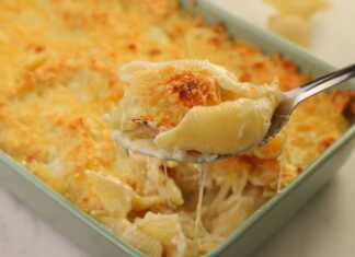 ΚΟΧΥΛΙΑ ΜΕ ΤΕΣΣΕΡΑ ΤΥΡΙΑ ΣΤΟΝ ΦΟΥΡΝΟ