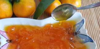 Μαρμελάδα μανταρίνι
