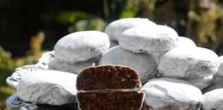 Μπισκοτακια μελιού