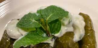 Ντολμαδάκια Γιαλαντζί με σάλτσα γιαουρτιού Ένα πιάτο με παραδοσιακά Ντολμαδάκια Γιαλαντζί με σάλτσα γιαουρτιού, έτοιμα για σερβίρισμα.