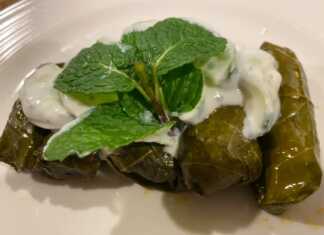 Ντολμαδάκια Γιαλαντζί με σάλτσα γιαουρτιού Ένα πιάτο με παραδοσιακά Ντολμαδάκια Γιαλαντζί με σάλτσα γιαουρτιού, έτοιμα για σερβίρισμα.