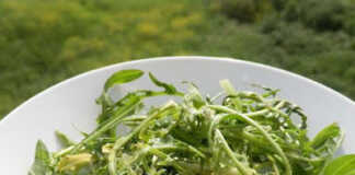 Σταμναγκαθι