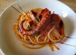 Μακαρόνια με κοκκινιστό Χταπόδι