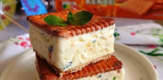 Υπέροχα σάντουιτς παγωτού με μπισκότο