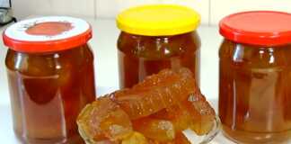 Γλυκό του κουταλιού Καρπούζι