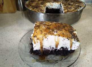 Ένα κομμάτι Γιαουρτογλυκό με στρώσεις σοκολατένιου παντεσπάνι και λευκής κρέμας γιαουρτιού, γαρνιρισμένο με τριμμένη σοκολάτα.