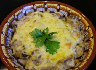 Κοτόπουλο με μανιτάρια και κρέμα γάλακτος