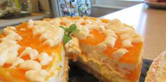 Τούρτα κολοκύθας χωρίς ψήσιμο