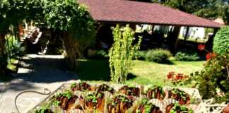 Σουδάκια … Ένα δώρο για ανθρώπους που αγαπάτε ❤