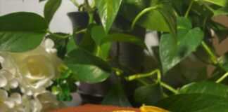 Cheesecake Πορτοκαλιού Βανίλιας