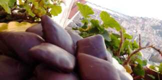 Τα Χριστούγεννα πλησιάζουν…Χριστουγενιάτικες Καριόκες Χριστουγεννιάτικες Καριόκες