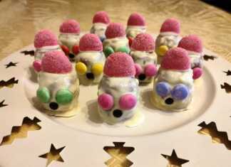 Χριστουγεννιάτικα Χιοναθρωπάκια