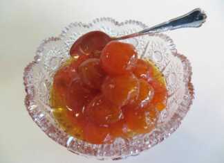 Κοντινό πλάνο στο γλυκό του κουταλιού Κουμ Κουάτ σε ένα πιατάκι, έτοιμο για σερβίρισμα.