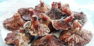 Μανιτάρια στο τηγάνι