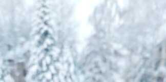 Ζεστό κρασί