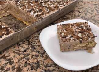 Μπισκοτογλυκό Ψυγείου με κακάο και γιαούρτι