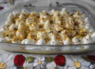 γιαουρτογλυκό ψυγείου με μπισκότα