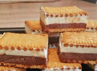 Σπιτικά παγωτά σάντουιτς με μπισκότα πτι-μπερ, με στρώσεις παγωτού σοκολάτας και βανίλιας.