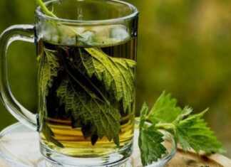 Αδυνάτισμα με σπιτικό ρόφημα: Καίτε λίπος σε 5 μέρες!