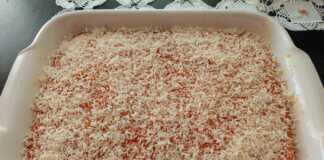 ρεβανί με ινδοκάρυδο