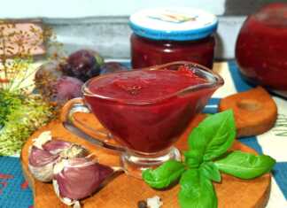 Μπολ με σκουρόχρωμη σπιτική σάλτσα δαμάσκηνου, δίπλα σε φρέσκα δαμάσκηνα, σκελίδες σκόρδου και καυτερές πιπεριές