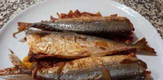 Κολιός πλακί στον φούρνο