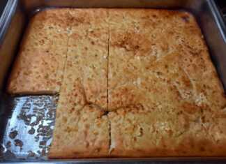 Μπατζίνα Θεσσαλίας