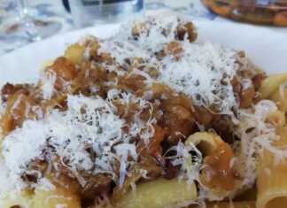 Κοντινό πλάνο στο αργομαγειρεμένο κρέας με τη βελούδινη σάλτσα κρεμμυδιού.